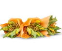 Kytice tulipánů